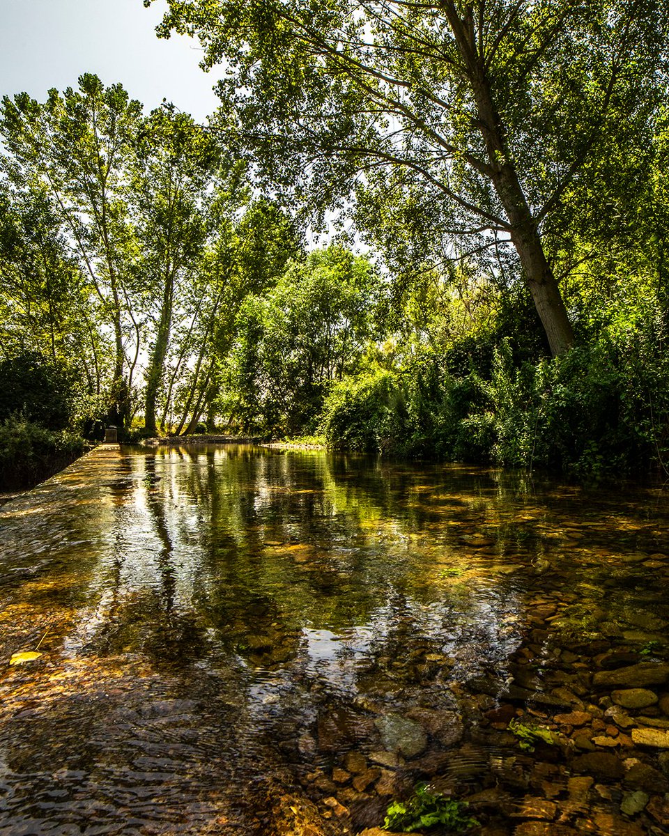 RiojaWine's tweet photo. Go where taking it easy is easiest. 

Whether you're sipping on the wine or taking in the sights, you’re always surrounded by serenity in Rioja, Spain. https://t.co/DGaAB8o8vN