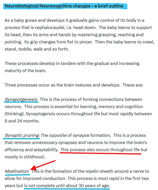 Psychgirl211's tweet photo. This is what is happening in the brain of an 11-year old.

It is furiously building and shaping itself.

In synaptogenesis, one million new neural connections are formed per second.

This process goes on for decades.

This is why children are stupid and impulsive and why they do stupid and impulsive things.  

Their brains are not yet 'finished'.

PBs derail the natural and essential process of building, shaping, pruning and laying down the fatty coating around neve sheaths.

So yes @CPhilpOfficial you are correct.  

Deliberately interfering with this process is a novel and horrific form of child abuse.

The Labour government is allowing open human experimentation.

On children.