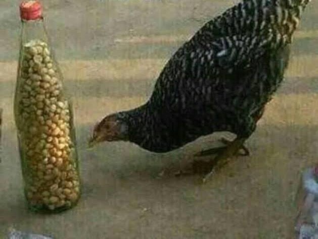 Nosaszn's tweet photo. @steve_powerhouz @theyenvyvivian 😂💔 https://t.co/25uLkqBl5Q