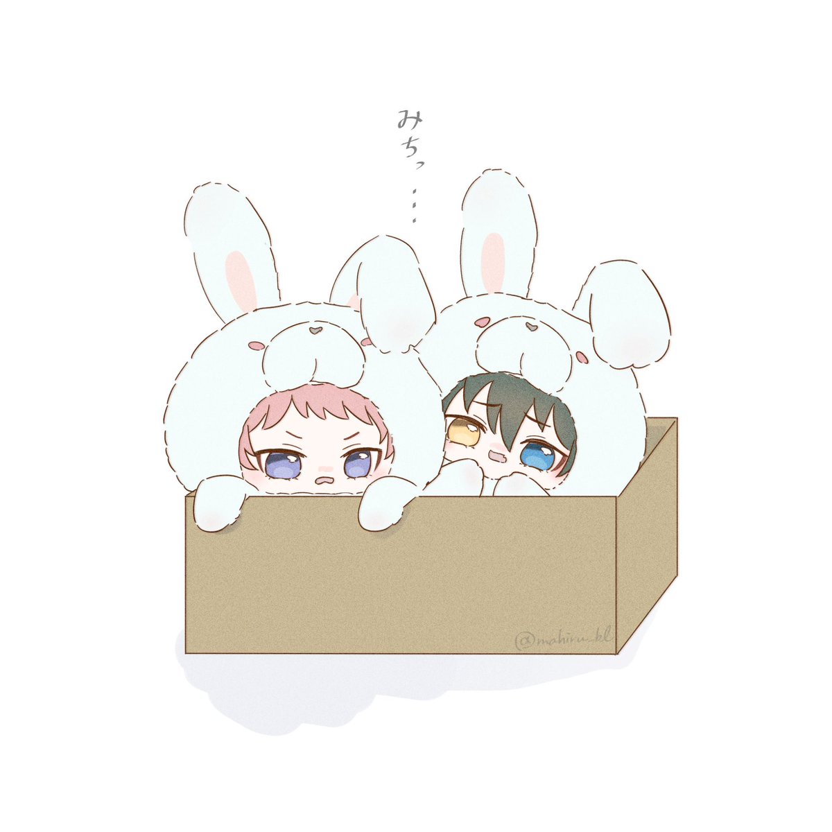 mahiru_bl's tweet photo. いつぬいのヴァ
しゅ〜くんもみかちゃんも人馴れしてない感じがたまらん可愛いね♡箱から出てくるのにも時間かかりそうだ🥐🍬 https://t.co/37McJnaZoO