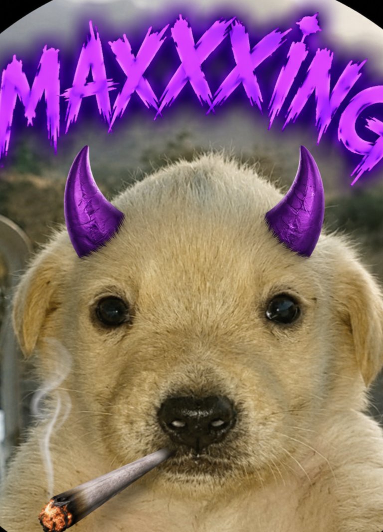 RottenXAg's tweet photo. @based_degen06 Gm jotchuans https://t.co/n0wDU9wVbz