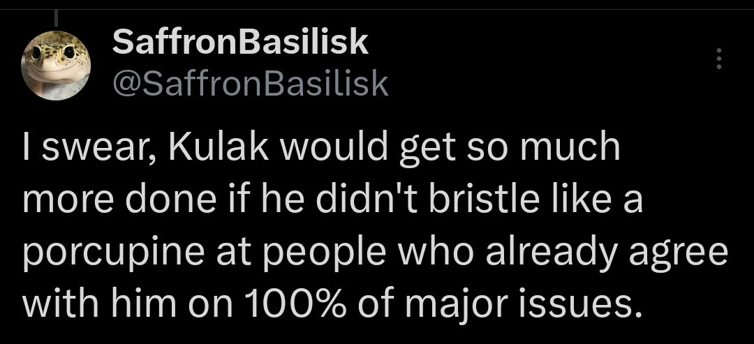 SaffronBasilisk tweet media