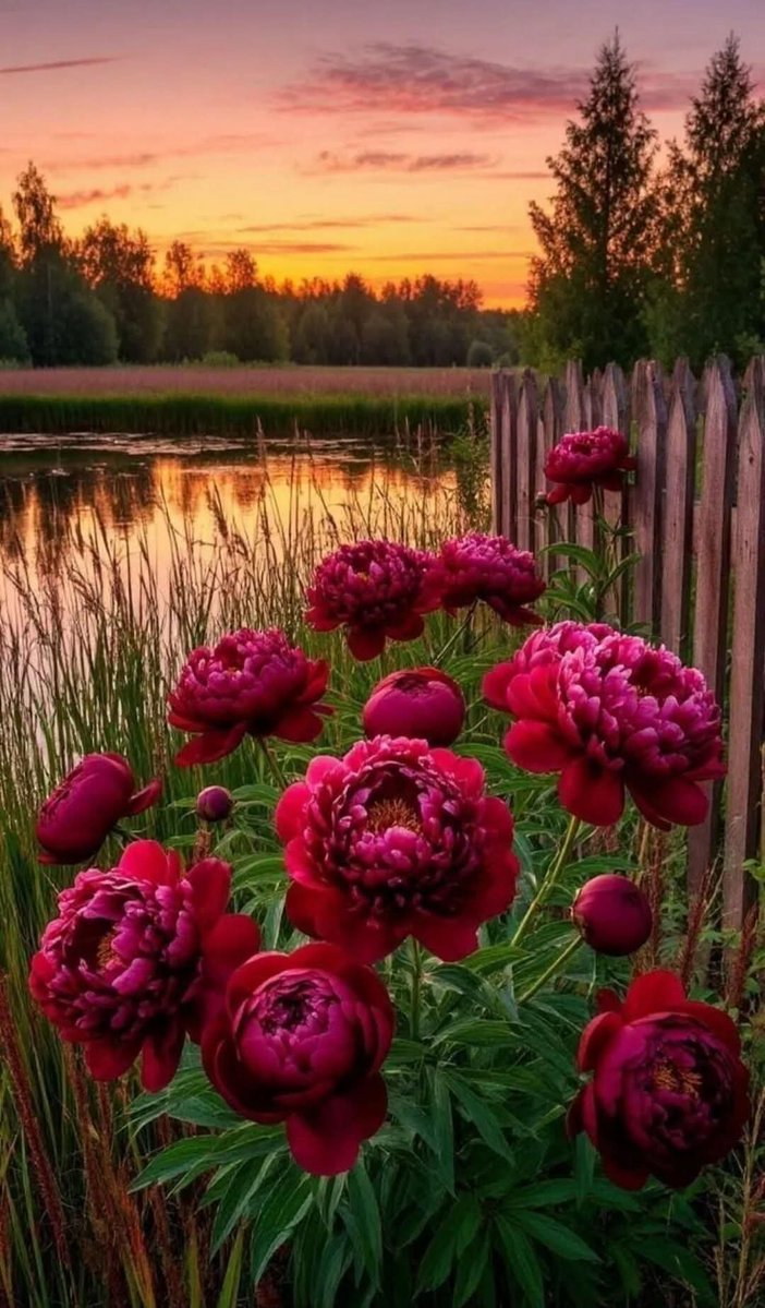 Nadezda942604's tweet photo. Иногда, в молчании больше чувств, чем в словах. https://t.co/dYW8Uf4y8h