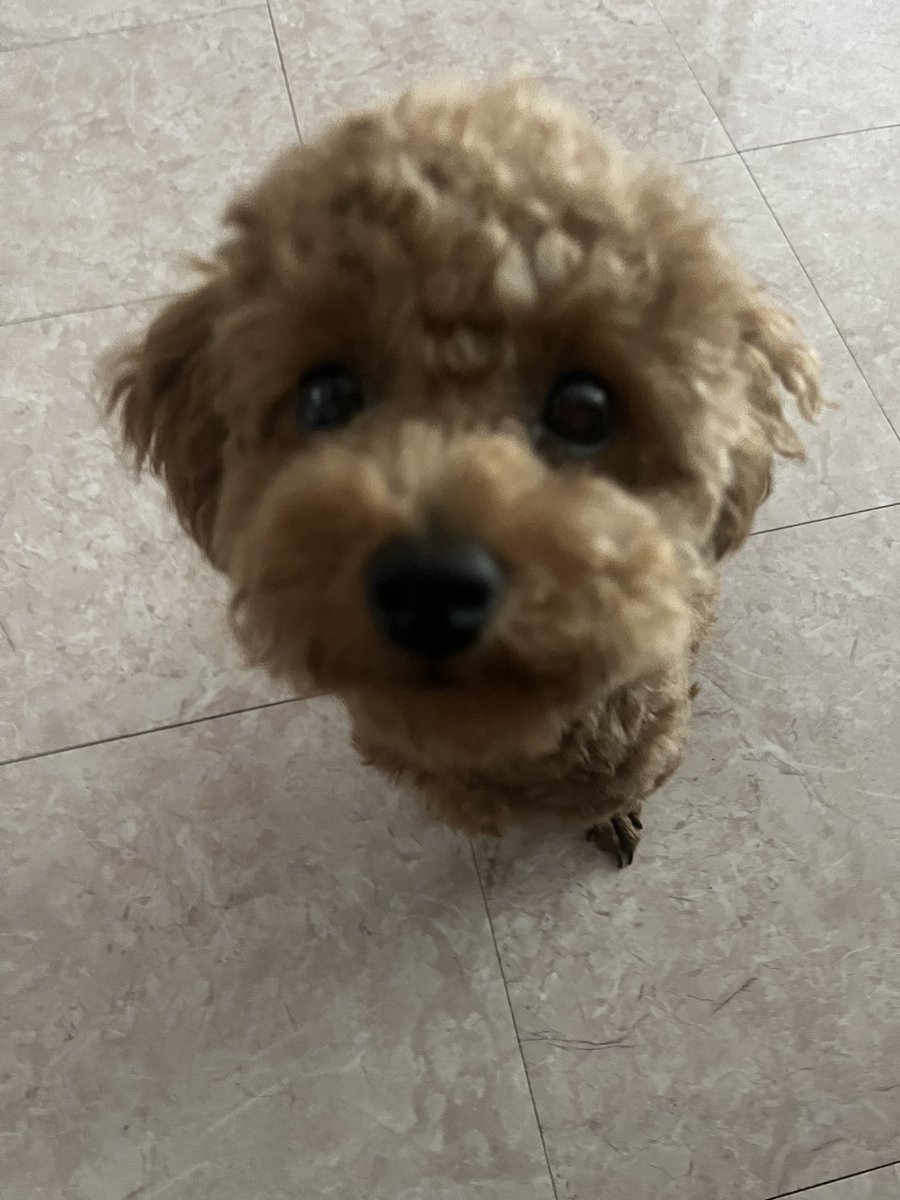 zzunnanoco's tweet photo. @duchaptteok 한번더..!
한번더…!
한번더..! https://t.co/2B393iRwnx