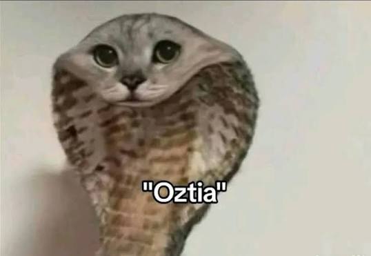 rottenK0rpse's tweet photo. @Beow_o OLA ME DORMÍ, SISISI https://t.co/syyudV7TCw