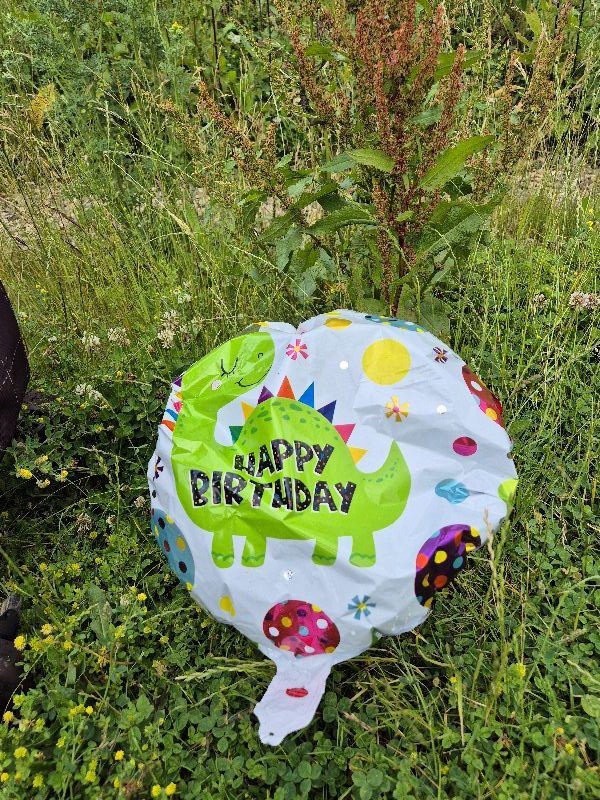 BBullrushes's tweet photo. Cleared another #flytip from the hedgerow, including a bag full of shredded coursework. Found this plastic toy knife in another hedge. Clearly a toy with a very flexible 'blade' but who would get close enough to the person with it to see it was a toy 🙈 #LoveWhereYouLive #Derby https://t.co/ITG5OPSPof