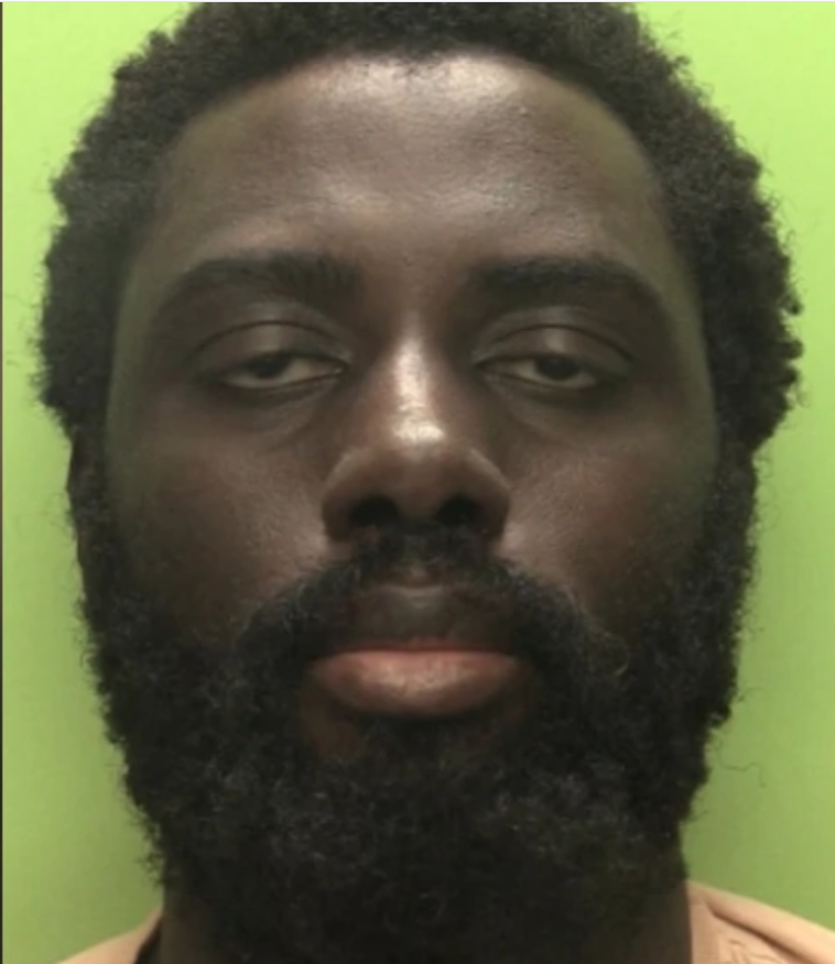 RealJarTaylor's tweet photo. Adanawa Bolwana threw a white toddler into the crocodile pen at a private zoo near Huntingdon, England. Toddler in critical condition.

In 2019, Emmanuel Aranda threw Landen Hoffmann 40 feet off a balcony at the Mall of America. Landon had a dozen surgeries but lived. https://t.co/6J2yqNEBQO
