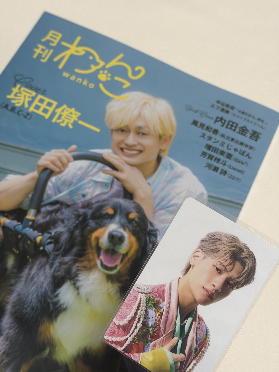 vcell0's tweet photo. ほわわんとしたかわいい写真と、ここ限定の🐶エピソードをたくさんありがとうございます!ひめちゃんに1度忘れられて「お前、誰だ?」という顔をされた時の再現ショットと共に📸笑
#月刊わんこ #芳賀柊斗 #Lienel https://t.co/WjhEqb74dA