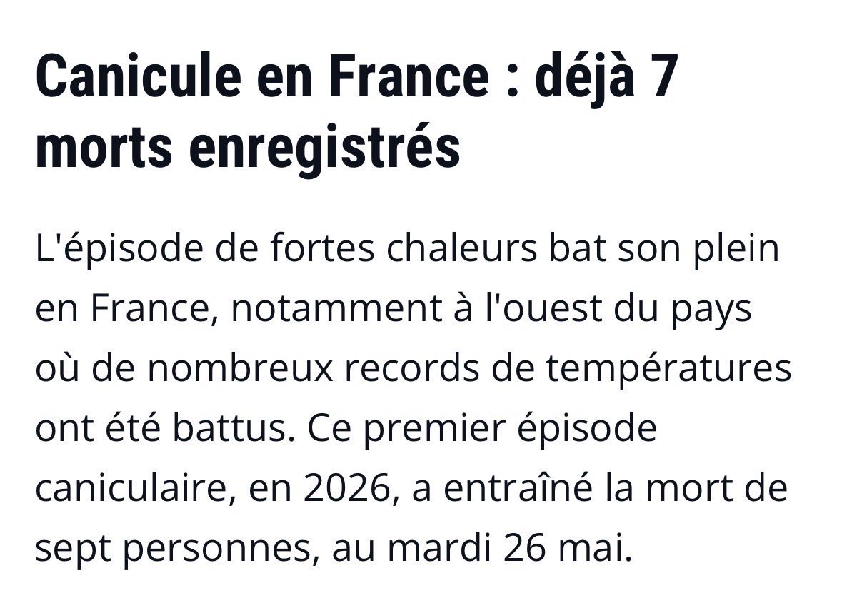 Tournesol en viande tweet media
