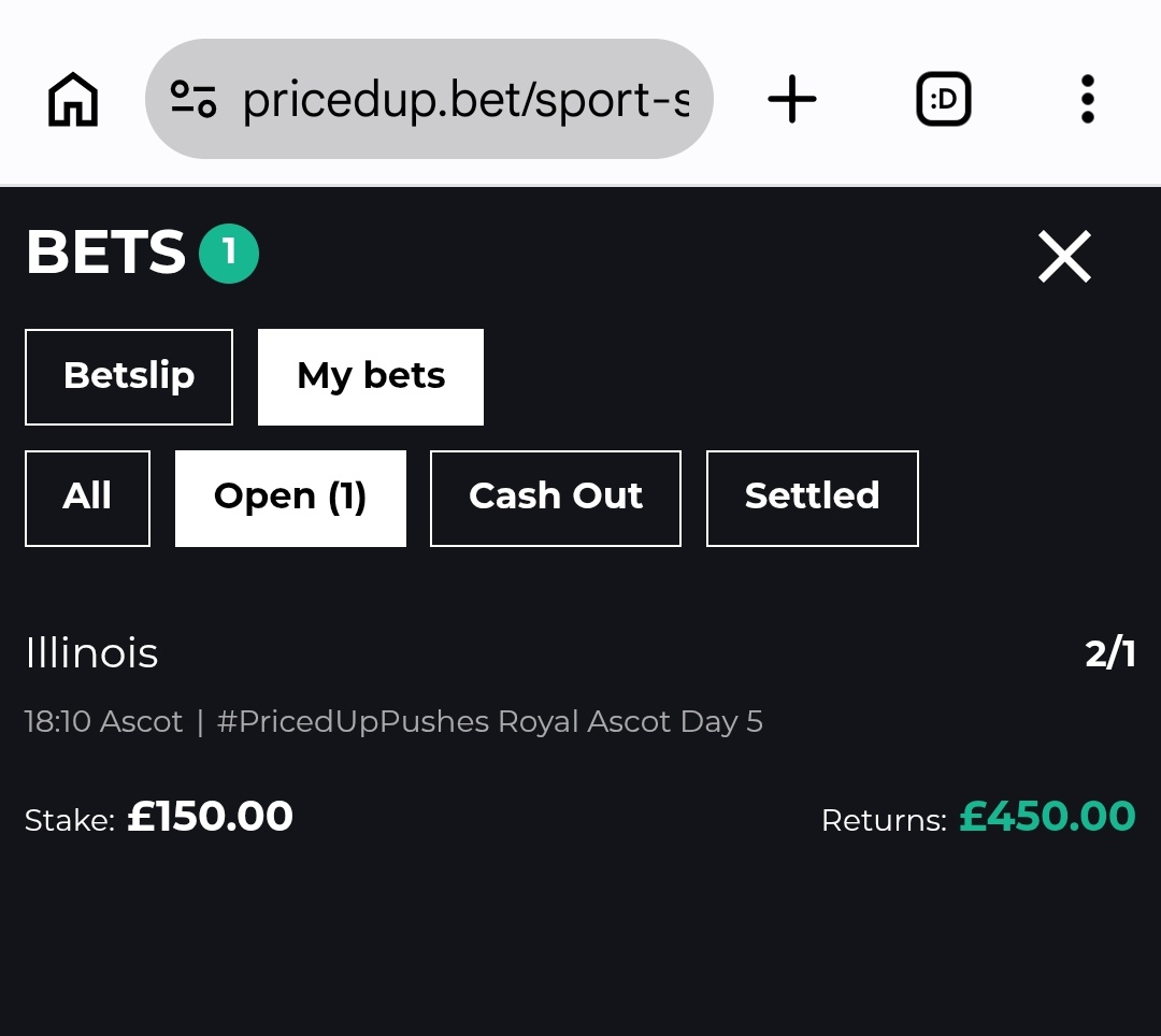 racingblogger's tweet photo. 🚨 ILLINOIS TO WIN THE LAST RACE AT ROYAL ASCOT FOR AIDAN O'BRIEN?

2-1 WITH PRICEDUP AT PRESENT! ☘️ https://t.co/36PiOPPBKt
