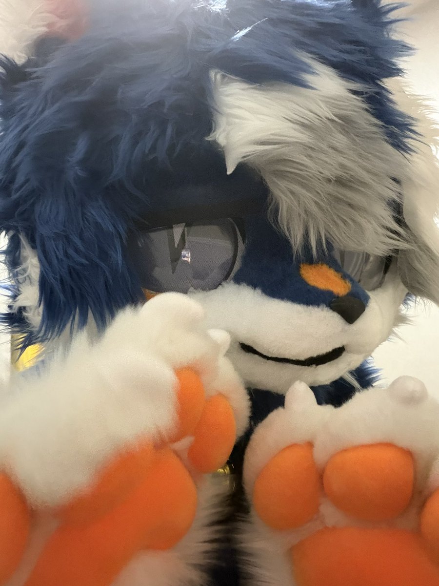 chenyuPM25's tweet photo. 我的爪子到啦 #furry #兽装 https://t.co/aiStwNoUZk