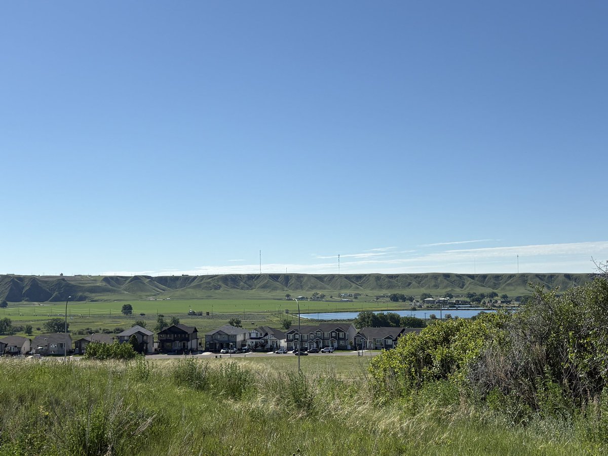 HatLawnBowler's tweet photo. Beautiful Saturday morning. #medhat #sharethetrailmh #springinalberta #southsaskatchewanriver #poppies https://t.co/kxpk3zOPxA