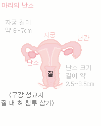 Damcho0409_'s tweet photo. 캐릭터 시트 https://t.co/l2fL5xTaSw