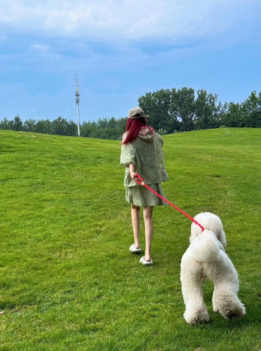 SolovejDavid's tweet photo. My morning jogs now include our fluffy new rescue dog —small changes, big joy that sticks.， https://t.co/aCrUWtgVO6
