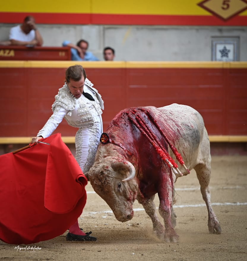 JavierCortesInf's tweet photo. @CopaChenel MORALZARZAL 

@CopaChenel

📷 de la faena al primer toro de nuestro lote.

#Temporada2026
#SóloJavierCortés https://t.co/tljG6VWJx6