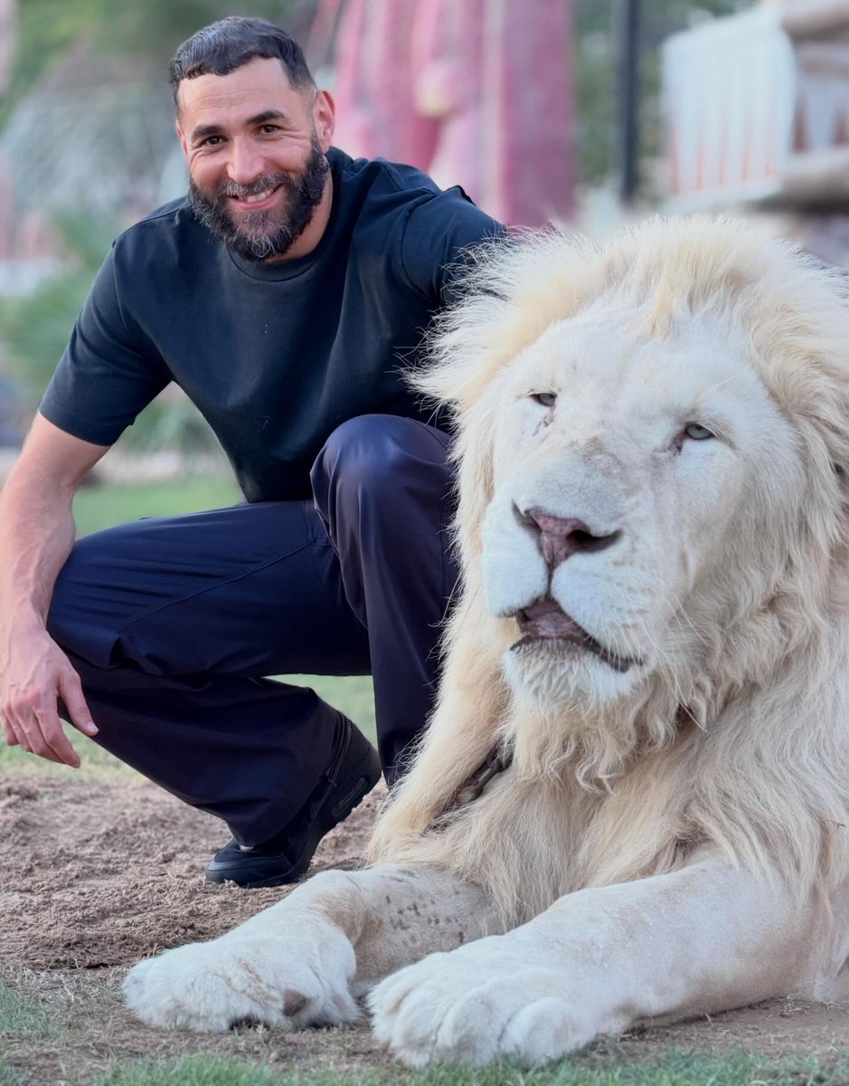 InsiderMix1's tweet photo. كريم بنزيما عبر حسابه 🦁❤ https://t.co/2EFCTcO8a1