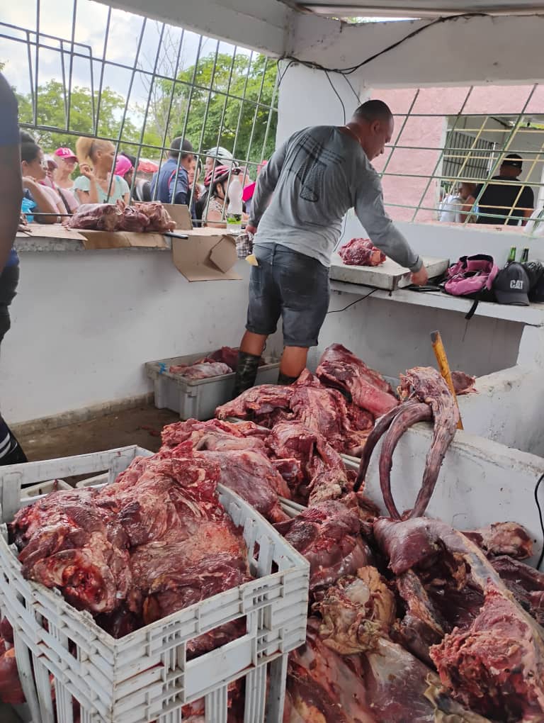 rlicea_mojena's tweet photo. Como antesala del Verano, y merecido regalo por el Día de los Padres, se realiza una excelente Feria Agropecuaria en la #IslaDeLaJuventud seguimos derrumbando el genocida bloqueo, con una variada oferta de productos #SiSePuede #SentirPinero #CubaEstáFirme #LaPatriaSeDefiende https://t.co/ejlHaXumyP