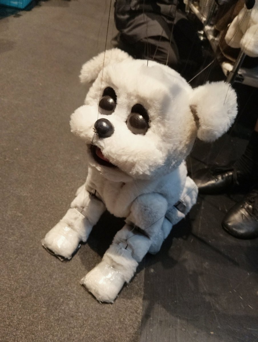 ayajijo's tweet photo. 『BOOP! The Musical』
人形劇の人にも観てもらいたいな。
人形の劇じゃないけど、人形と人間が舞台で違和感なく存在出来る、アニメーションも含まれたとても魅力的な世界だよ。可能性がめちゃくちゃあるよ。
チケット安くないけど、何か感じるきっかけになるには高くないと思うんだ。明日東京千秋楽🥹 https://t.co/vnFgNNfkYC