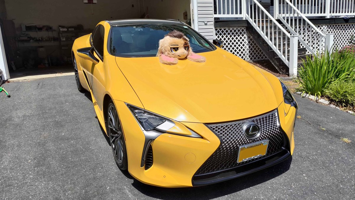 WattaBunny tweet picture