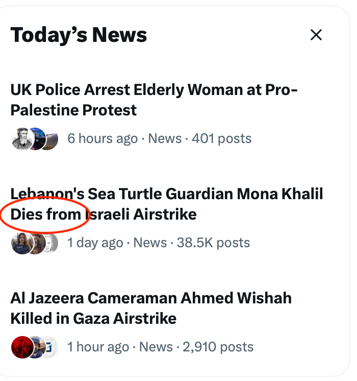 GdnBorges's tweet photo. @MaxBlumenthal I thought she had “died”. According to X, she died from Israeli airstrikes. Isn’t it a creative way of giving the news? https://t.co/htxzs25kHj