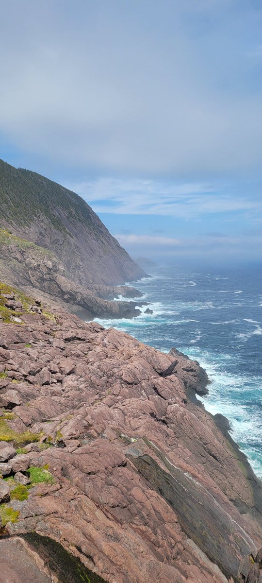 StphnBailey's tweet photo. pics from logy bay hike. https://t.co/ai1k86U0hC