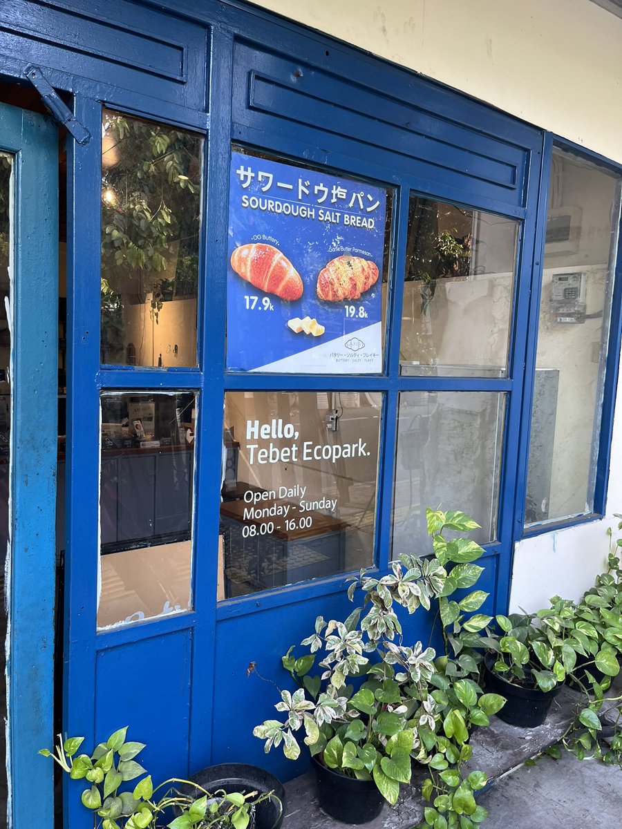 sallkasal's tweet photo. obsessed with the blue 💙 https://t.co/EUgJOGPvbm