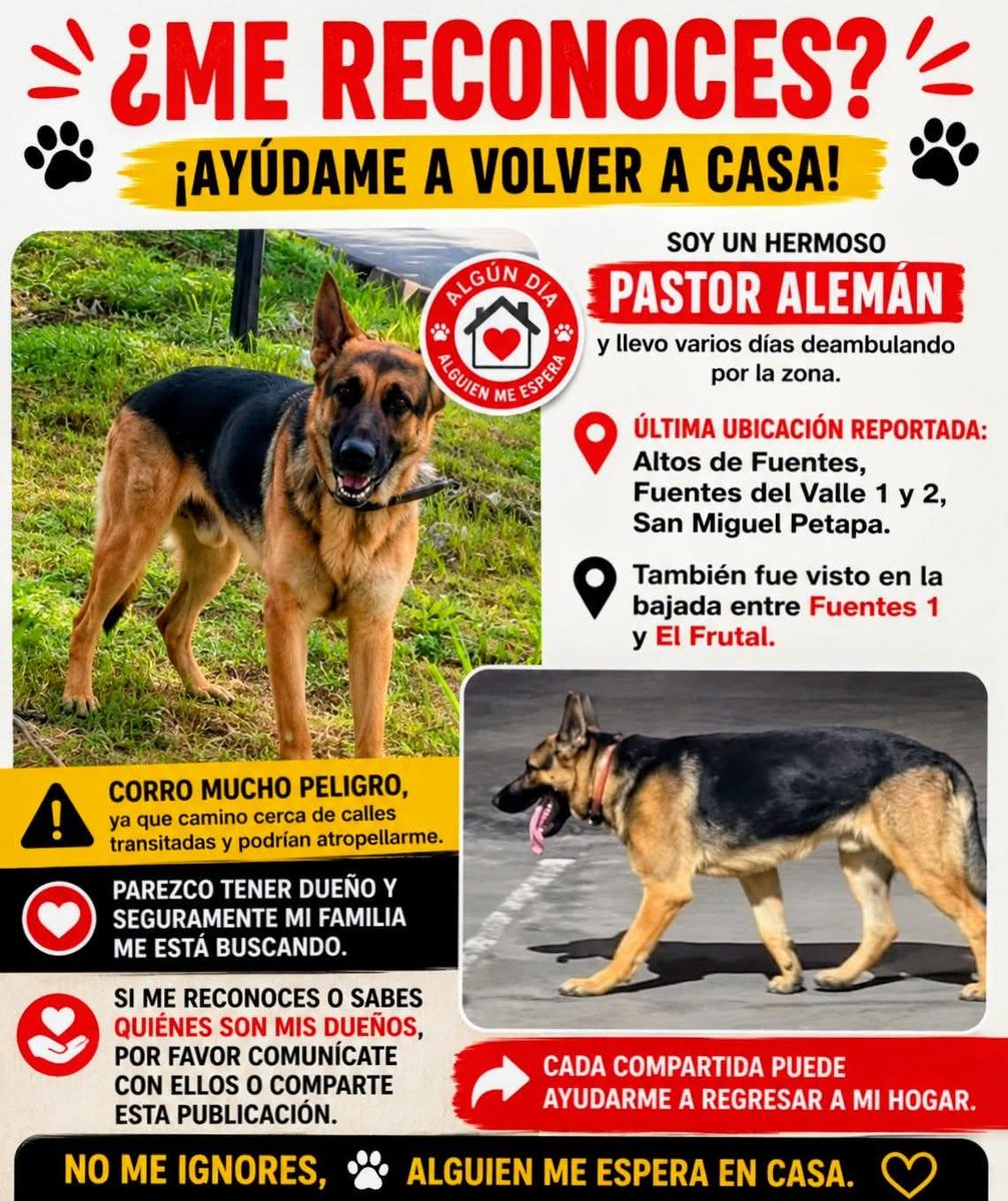 guatexanimales2's tweet photo. #repost https://t.co/K6wQOfutv9