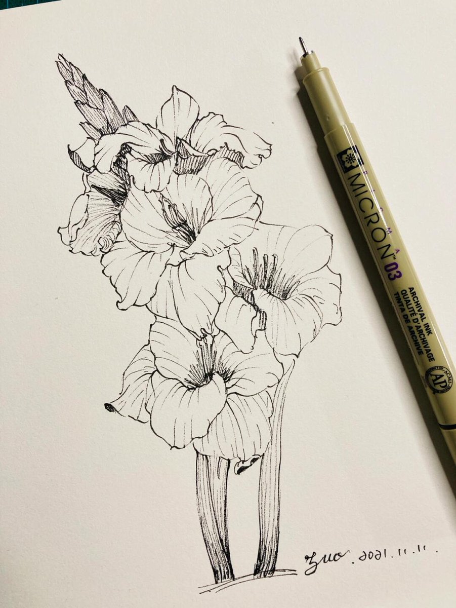 melonhony1's tweet photo. Want to try a new hobby Start with 10 mins of daily sketching! It’s fun, low-pressure, and unlocks your creativity—give it a shot today! https://t.co/uJ8lnNUn13
