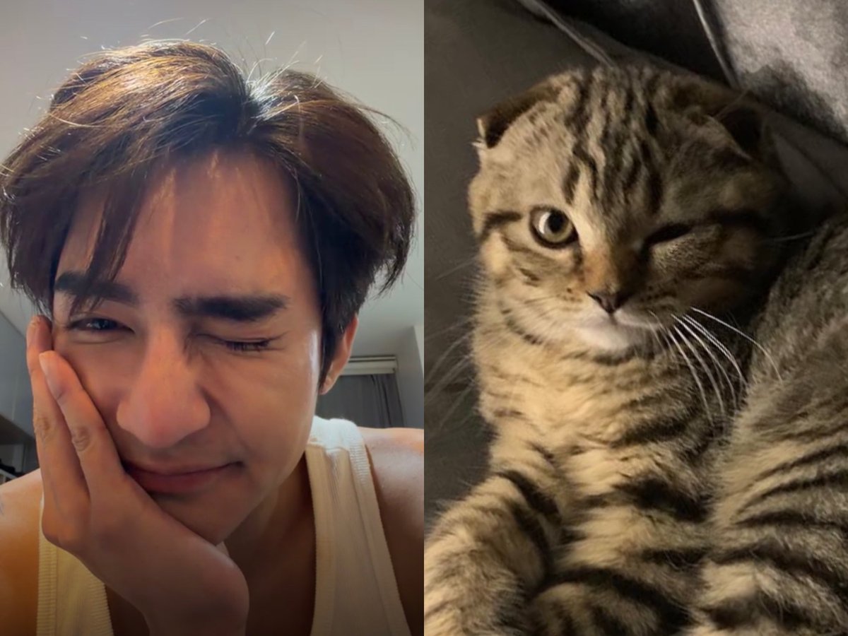 nongedin's tweet photo. Like father like son 😉

#EarthPirapat ; #เอดินลูกพ่อเอิร์ท https://t.co/JGphD0oUDh