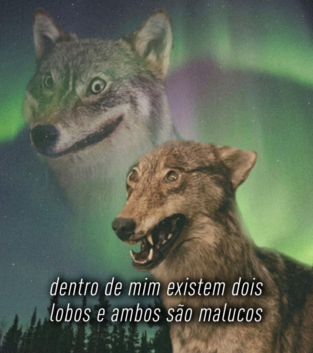 ZanfaVive's tweet photo. Ambos lelé da cuca https://t.co/CmNlxujyFo