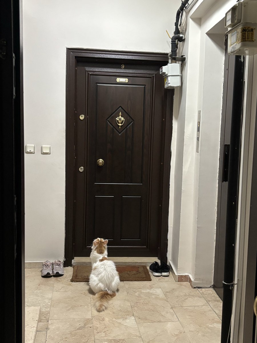Merttoptas's tweet photo. kapısında bekledi ve sonuç.. https://t.co/xWeLtZso71