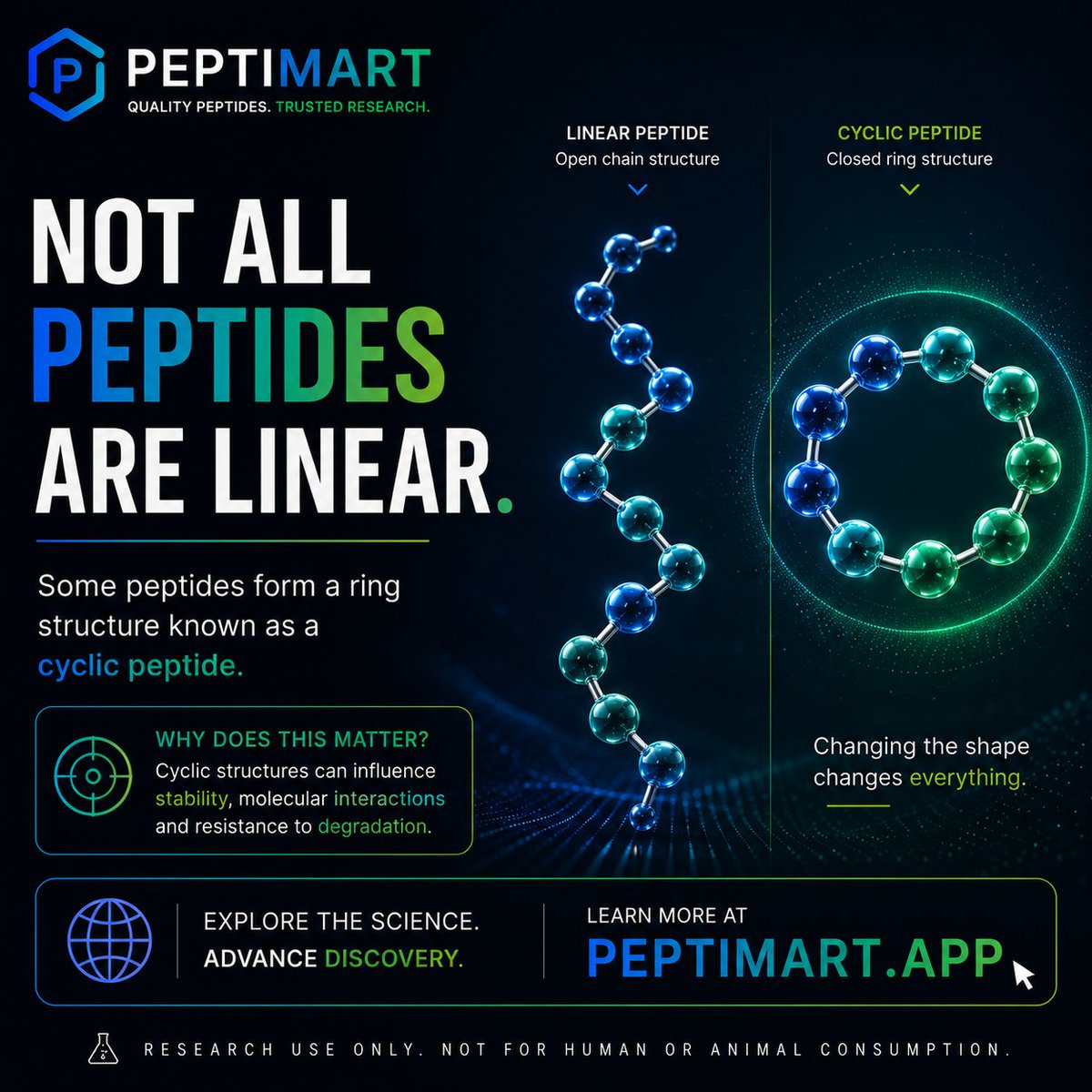 Peptimart_'s tweet photo. Most people picture peptides as simple chains of amino acids.

But that's only part of the story.

Some peptides form closed ring structures known as cyclic peptides, and that small structural change can have a big impact on how a molecule behaves and interacts at the molecular level.

It's a good reminder that in biology, structure matters just as much as composition.

🧬 Same building blocks.
🔬 Different architecture.

#Peptides #MolecularBiology #Biotechnology #ResearchScience #PeptideResearch #LifeScience #PEPTIMART