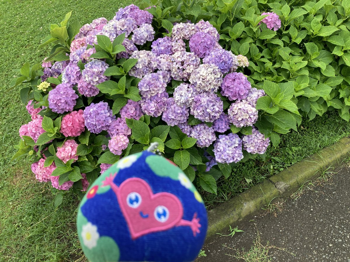 まいにちトゥンクトゥンク #GREENEXPO2027 開幕まであと268日