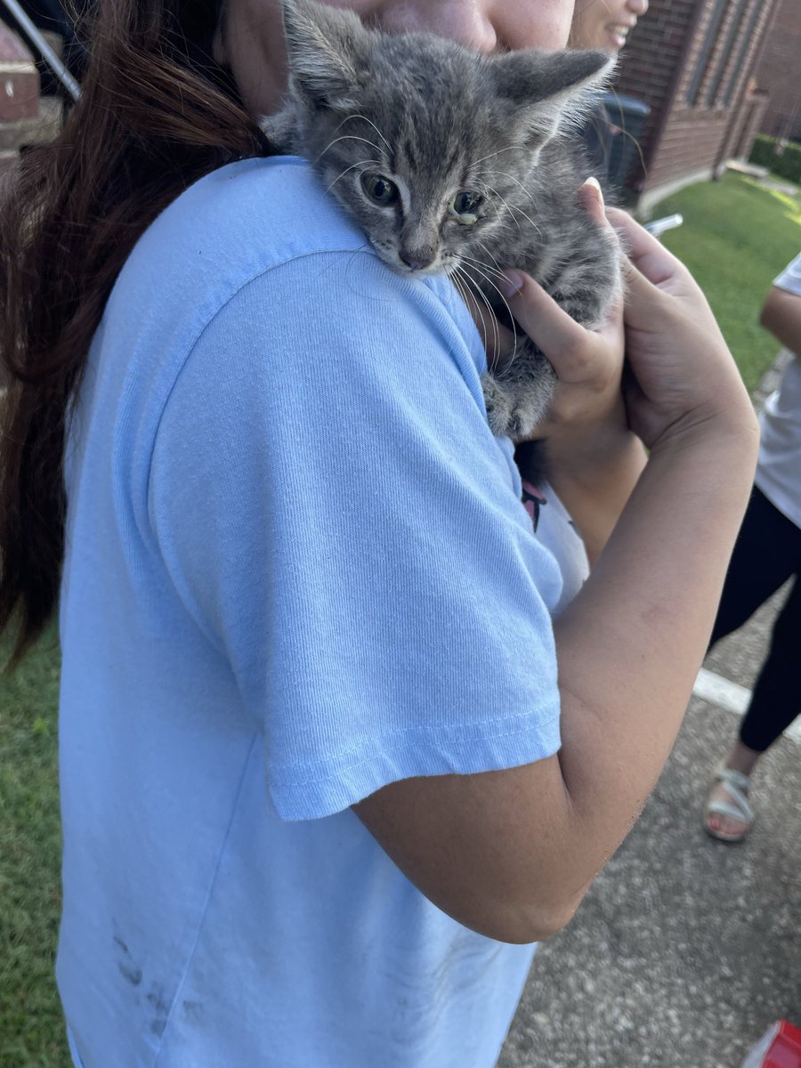 ChadStackleton's tweet photo. Man what a way to start my Saturday 
Anyways guys meet Lex we found him in my girlfriends car this morning https://t.co/BGliwKWdMM