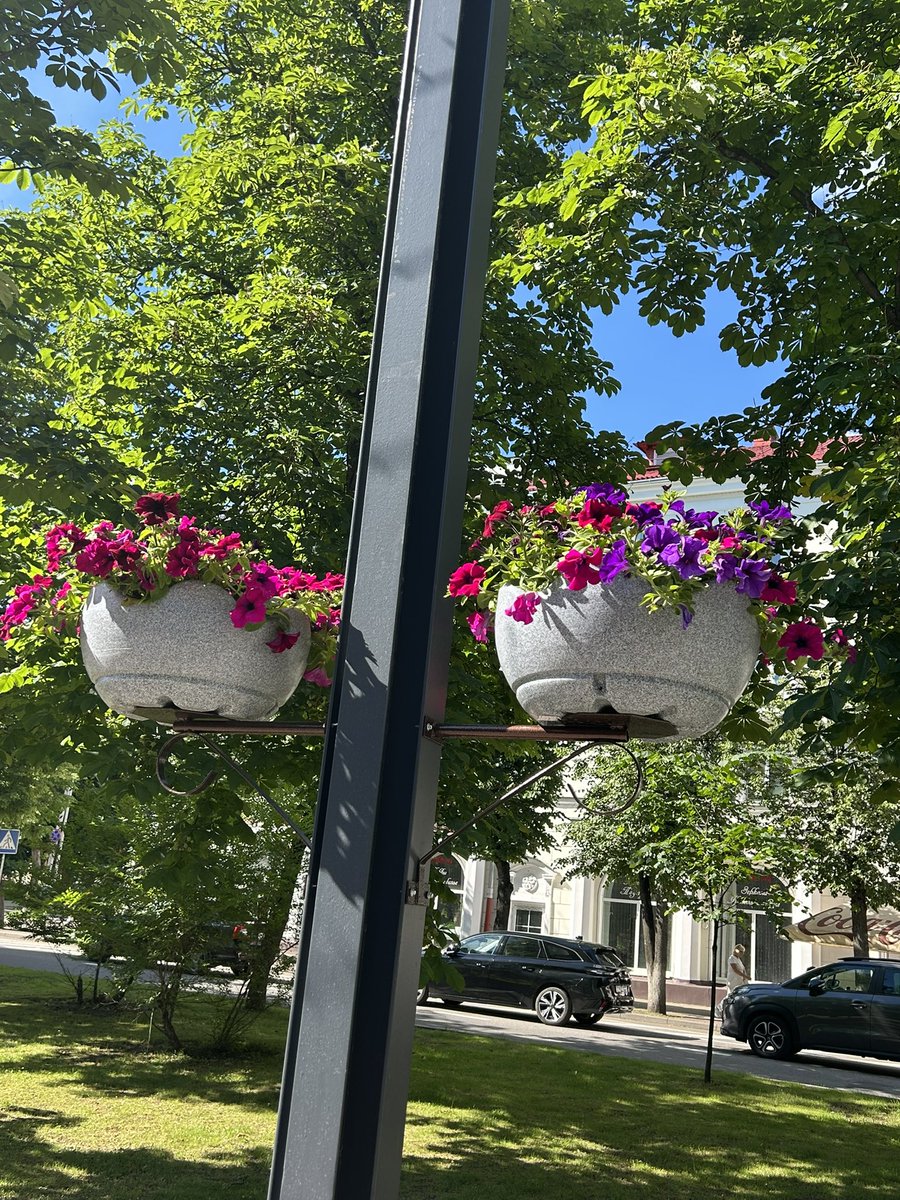 Patricgouree's tweet photo. Мы ехали ,ехали и, доехали до Белорусь или Белоруссии( я честно, не знаю , как правильно). 
Сказать, что у нас шок, это ничего не сказать. Это другая реальность, абсолютно потрясающая и впечатляющая! Такое ощущение, что здесь вылизаны языком и дороги, и деревья, и трава. Мы https://t.co/Qj88m8NSCV