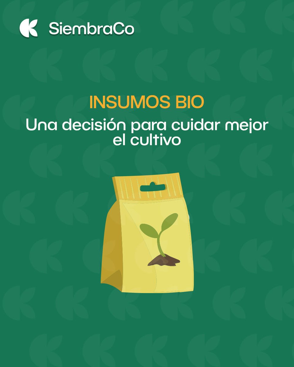 siembraco's tweet photo. Los insumos bio hacen parte de una mirada más consciente sobre la producción agrícola.
En SiembraCo promovemos prácticas que ayudan a cuidar el suelo, fortalecer los cultivos y acompañar a los agricultores 🫱🏻‍🫲🏼👩🏻‍🌾 hacia procesos más sostenibles y responsables. 🌳🌎

 #InsumosBio https://t.co/dBTCvC9Xcg