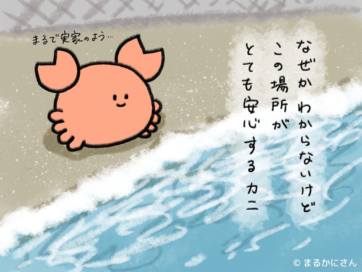crab_hasami's tweet photo. まるかにさん日記
#まるかにさん https://t.co/L4mo4Xoz8V