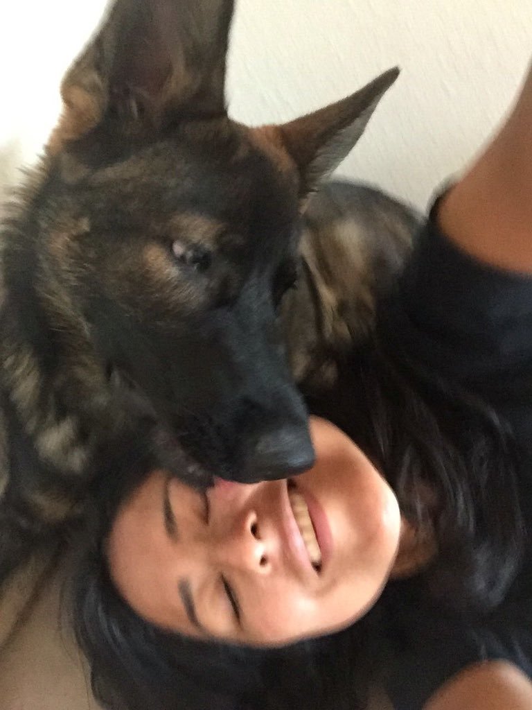 KNOTTINGMU's tweet photo. Watch my dog knot me with no mercy 🥰🥰 DOG DO IT BETTER see why so DM me👇👇
https://t.co/VQNnJAIo8c

#zoophillia #zoosarevalid #beastiality
#dogknot #zooprideisvalid #zoophile
#antizoo #antizoophile #zoopride
#zoophilepride 
#zooisnotvalid
#Beastmode
#USA #Beastmode  #dogmum https://t.co/srpbk3bUn0