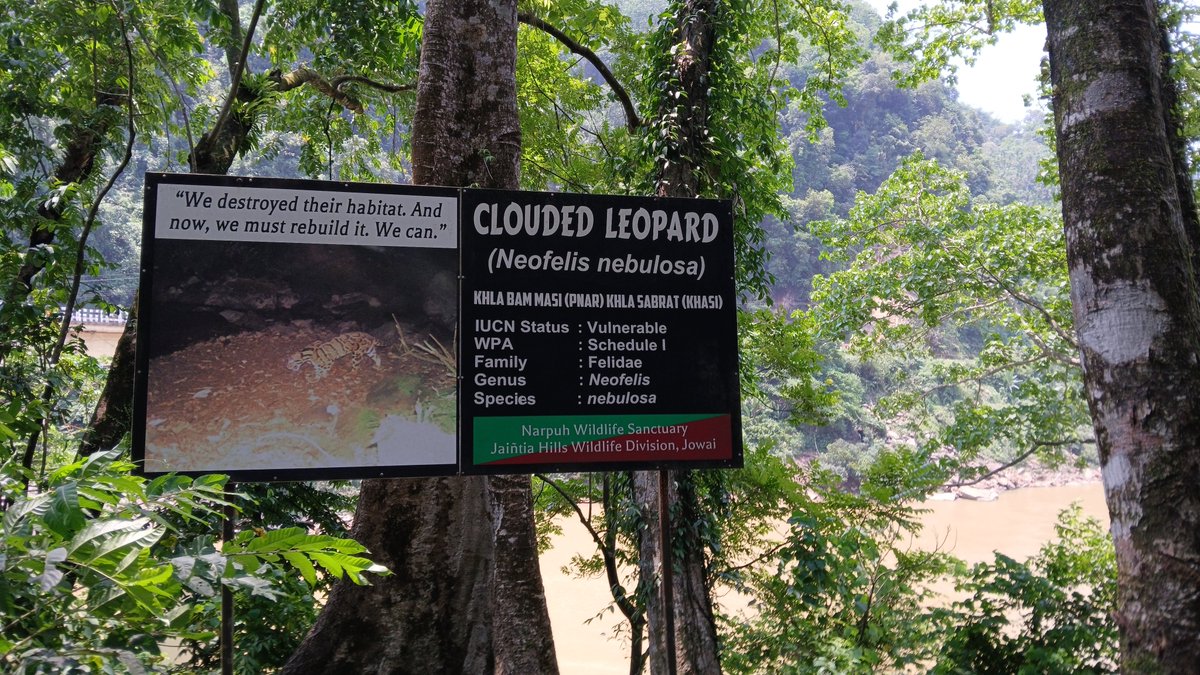 geojaydeep's tweet photo. A day roaming in and around Narpuh WLS East Jaintia Hills Meghalaya. https://t.co/cjBwnLIEF6
