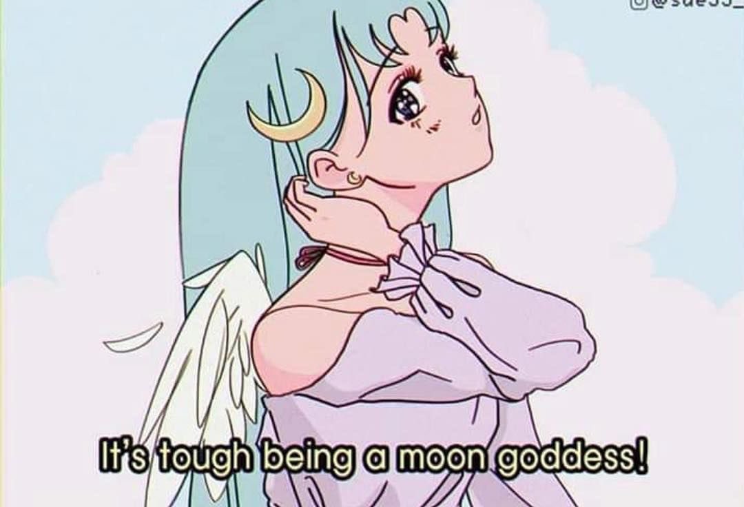 K o K o ♫⋆ ﾟ. 🧝🏽‍♀️🎶 tweet media