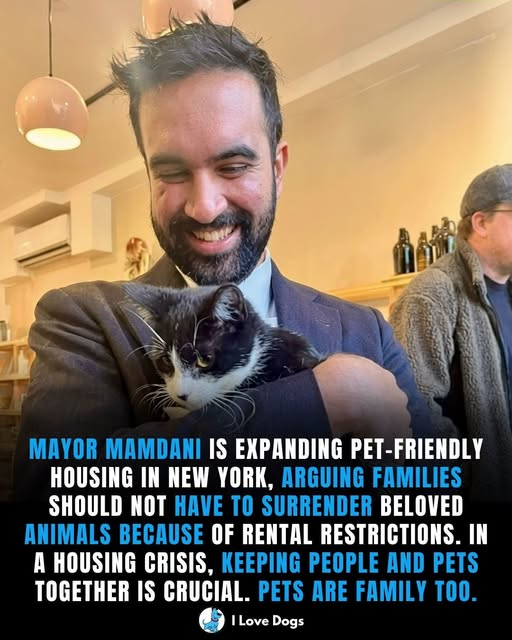 JamesTate121's tweet photo. Mayor Mamdani promotes expanding pet-friendly housing in New York, arguing families shouldn’t have to surrender animals due to rental rules. He emphasizes the importance of keeping people and pets together, especially in housing crises where community support is vital. https://t.co/Q9ODLzakGI