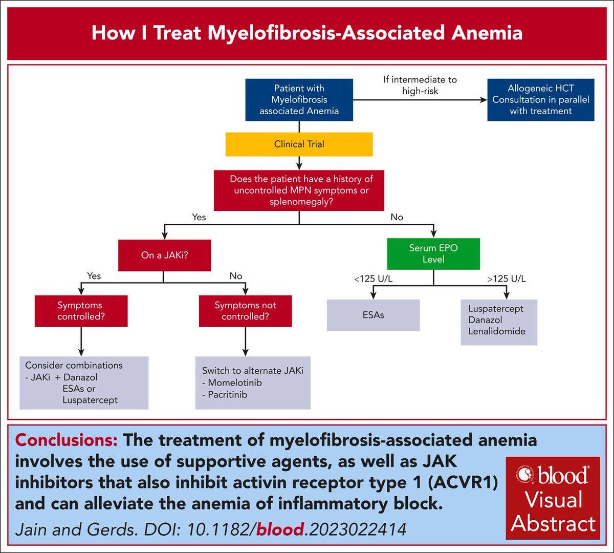 smbenlazar's tweet photo. How I treat anemia in myelofibrosis https://t.co/OkwKqZvJ7G #mpnsm https://t.co/8KCvhGaJlQ
