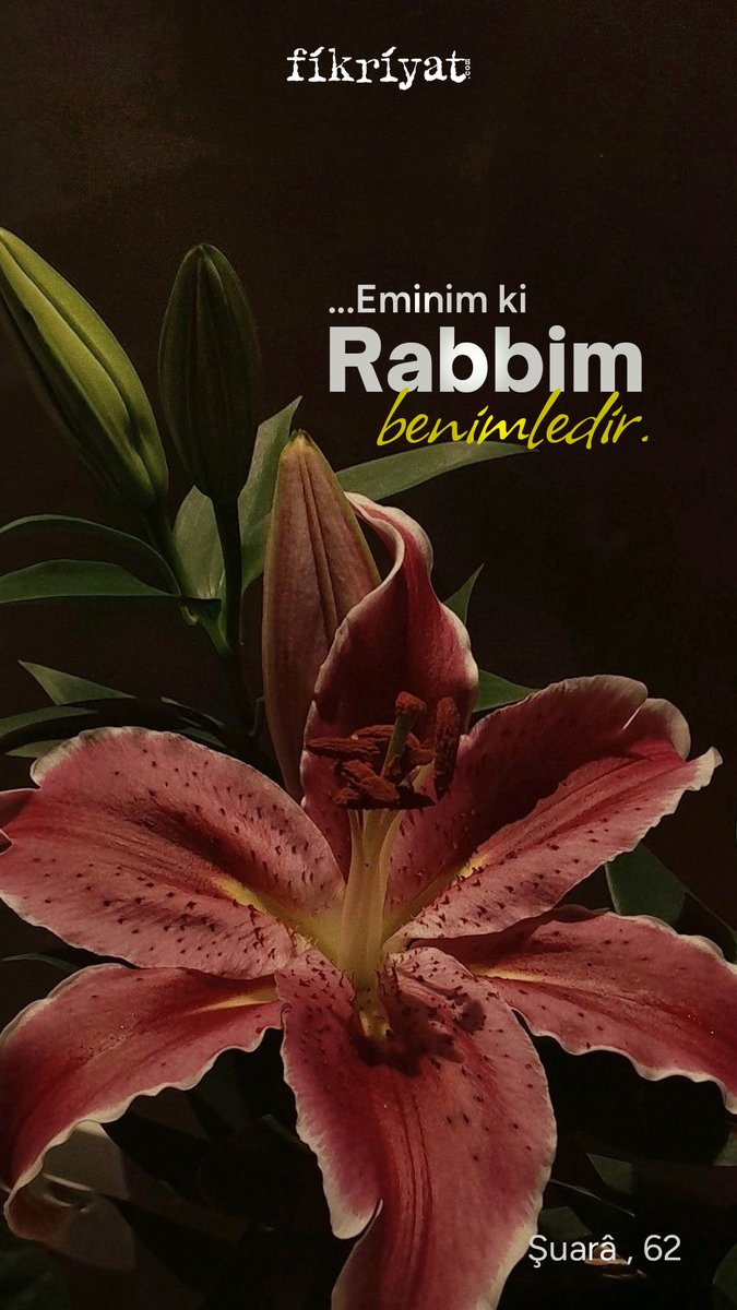 fikriyatcom's tweet photo. Mûsâ, “Hayır! Eminim ki rabbim benimledir, bana bir çıkış yolu gösterecektir” dedi.

Şuarâ, 62 https://t.co/hDk4cwNPem