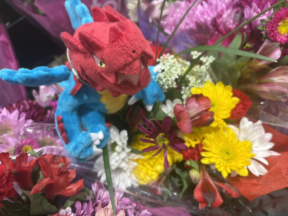 daylightend's tweet photo. happy druddigon day #クリムガンの日 https://t.co/CNJBwxOubM