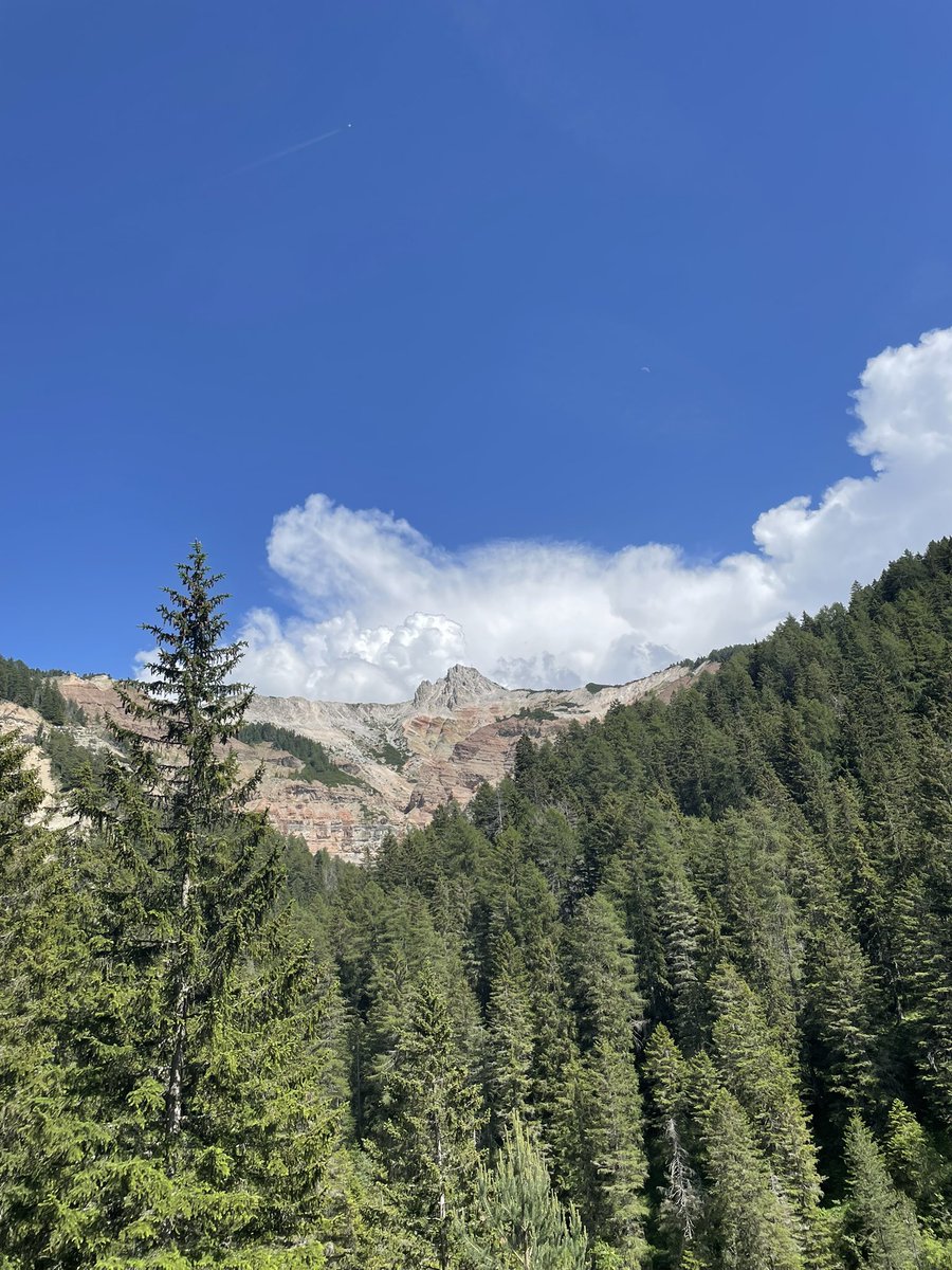 OlaKwiecien3's tweet photo. #fogsoftwitter another shady Saturday hike in the mountains . Bletterbach Gorge, amazing view on complex geology of Weisshorn and alpine meadows
๐พ๐ฅพ๐ฅพโ๏ธโฐ๏ธ๐ณ๐ฒโ๏ธ https://t.co/ynzC3aYil3