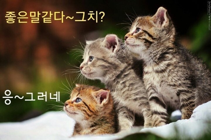 pho5G's tweet photo. 최근저장내맘에드는짤 https://t.co/jG0qcXOWxd