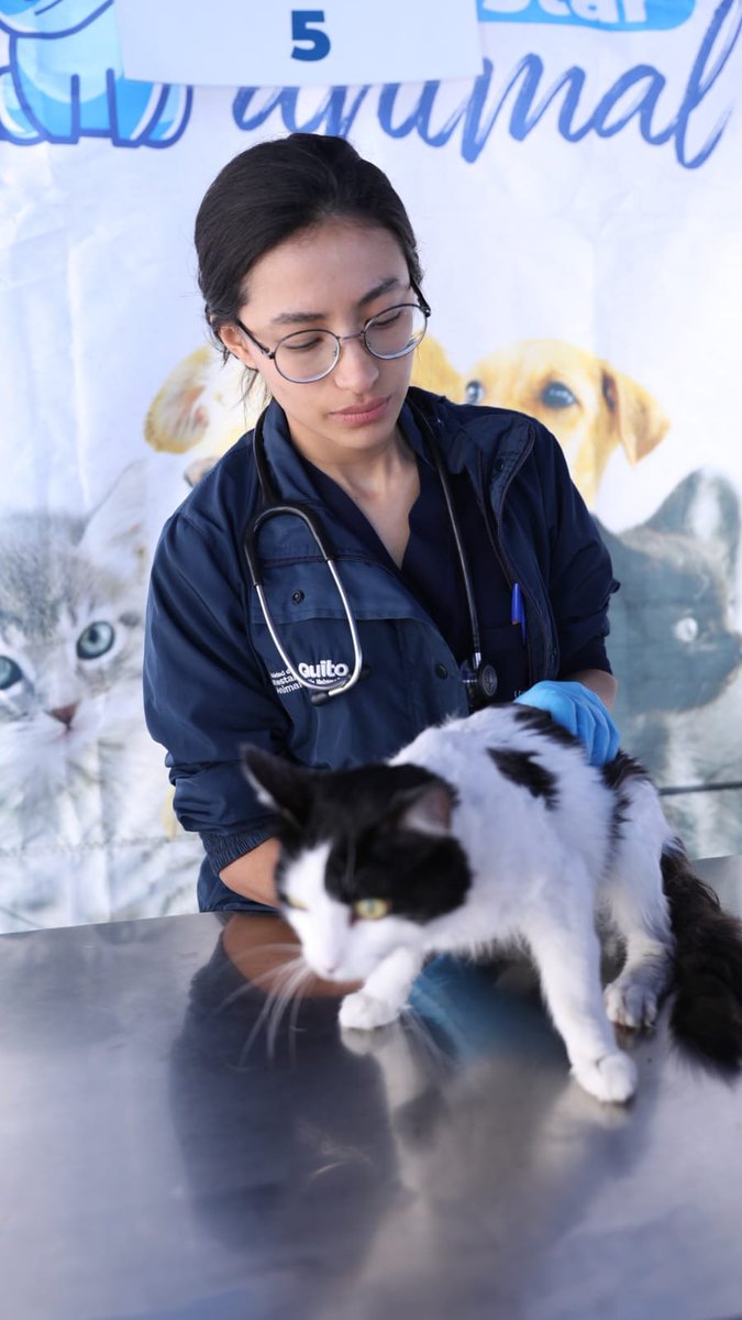 saludquito's tweet photo. 🩺 #QuitoNosCuida | Muchos vecis llegaron a la Súper Feria Quito Salud para cuidar de su salud, compartir en familia y consentir a sus peluditos. 🐾

Gracias por hacer de este espacio una verdadera fiesta del bienestar y la prevención. 🙌

#QuitoRenace https://t.co/nJpw0EJd02