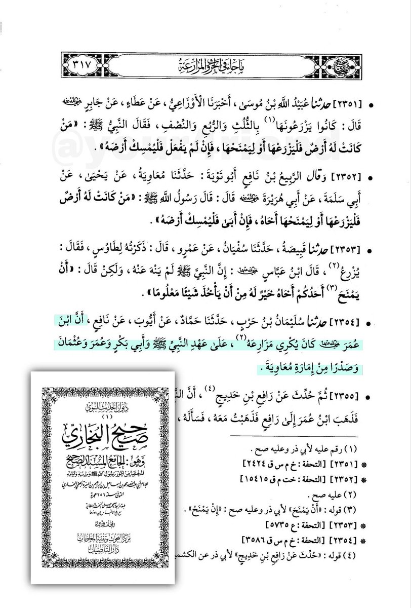أبو عراق tweet media