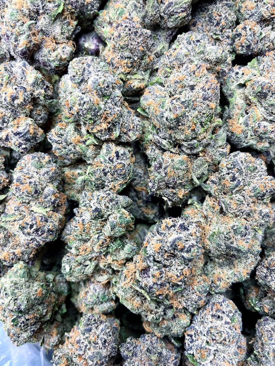HighGradeOnly4 tweet picture
