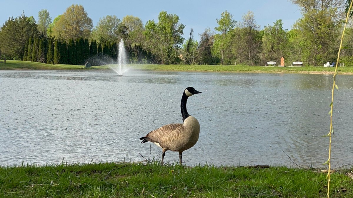 patrickhenrycol tweet picture